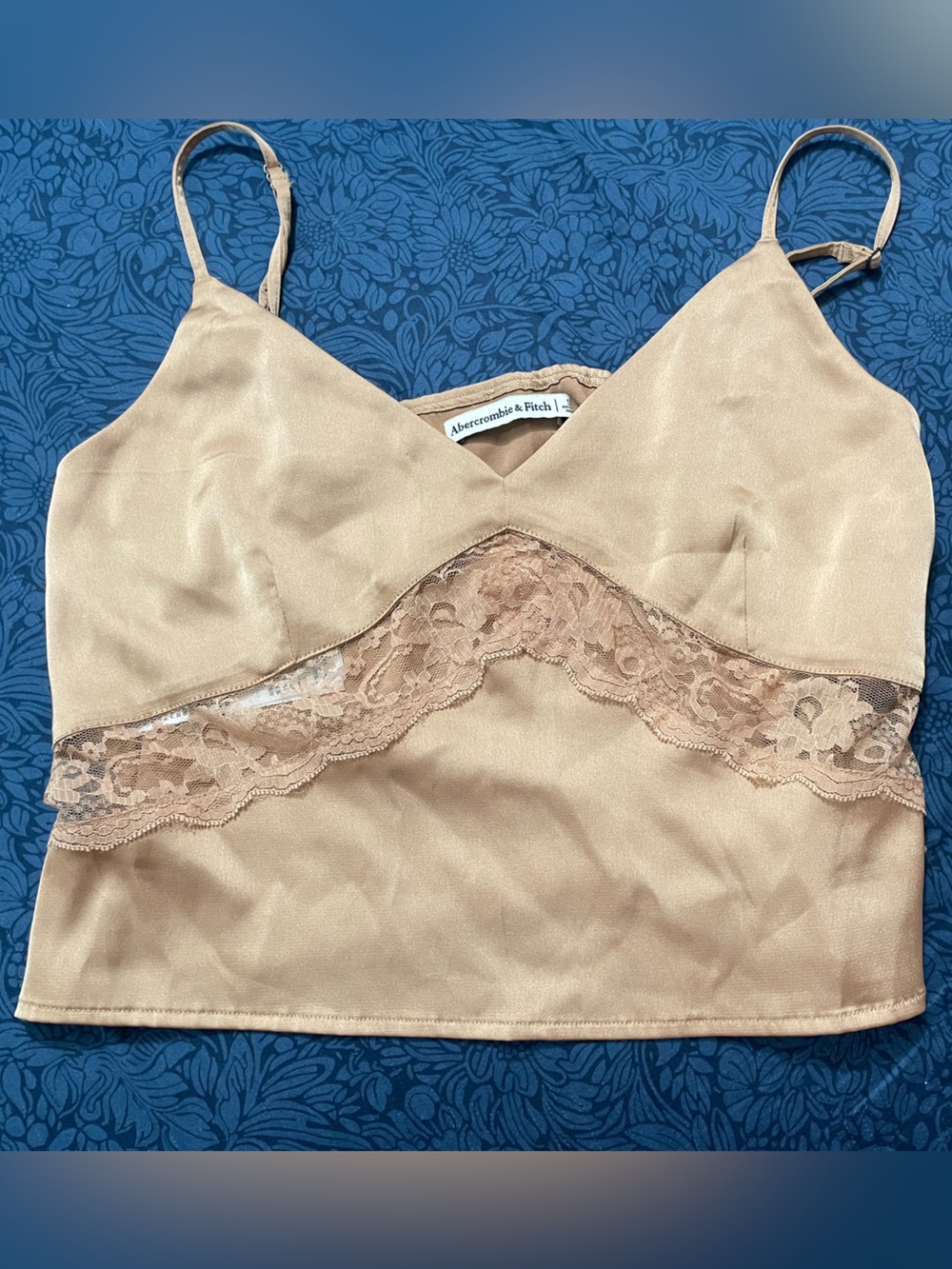 Abercrombie & Fitch Nude Champagne Satin Lace Cami | MSRP $50
